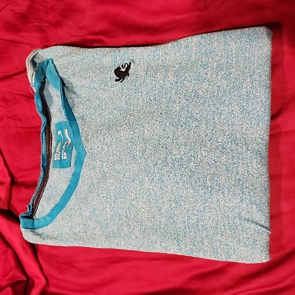 Express v neck size small